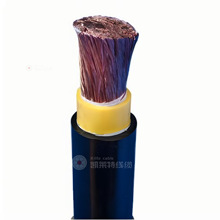 �����촬�ßo�u��|�o�u���Ԇ�о�p�o�������|0.6/1 kV