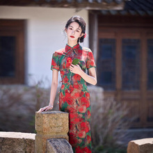 2025�ļ��¿��ϸ��L�͹�����Ů�߶˃��Ś��|�ճ������ݳ�������