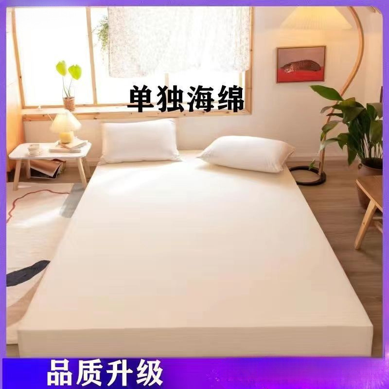 新款高密度海绵床垫家用床褥炕垫榻榻米学生宿舍单人双人加厚软垫