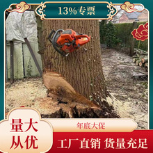 富世华592XP功率5.3KW排量92.7CC大功率专业进口伐木油锯咨询客服