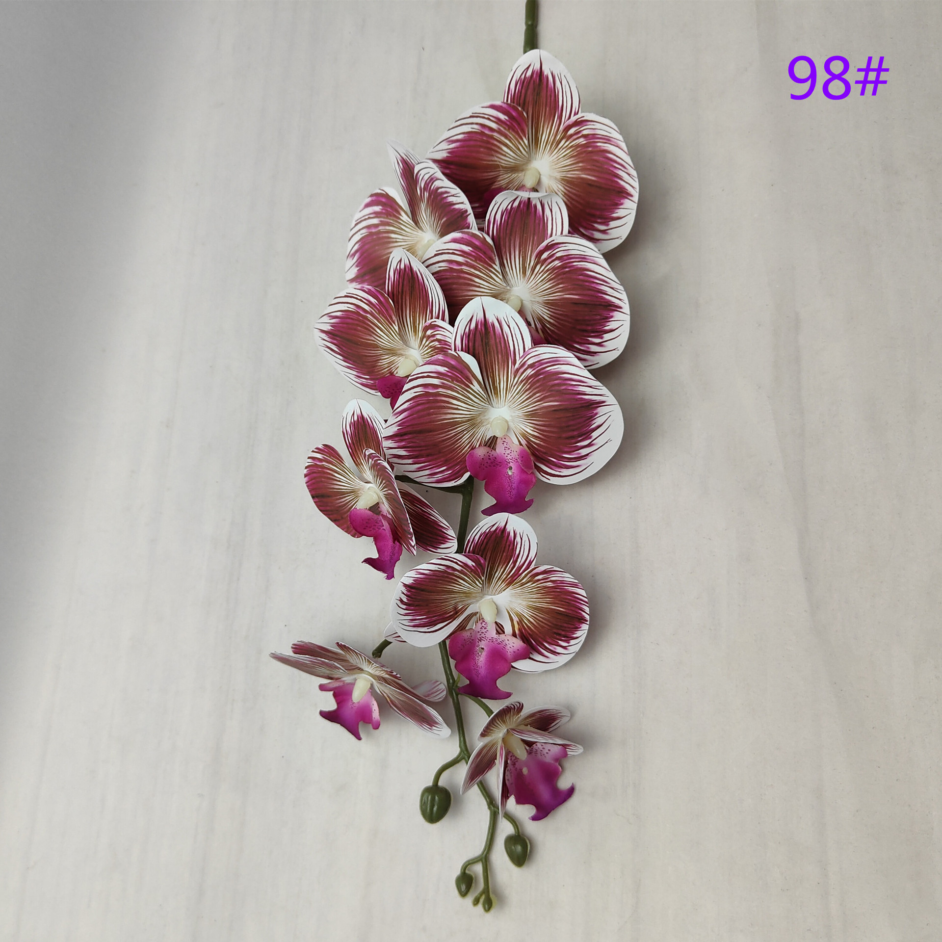 IMG20230510132752_副本