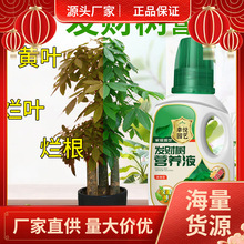 发财树营养液肥料专用肥治叶子发黄掉叶烂根室内盆栽植物花肥通用