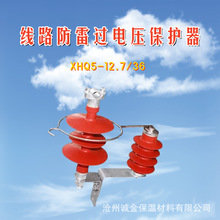 JHQ5-12.7/36线路串联间隙高压金属氧化锌避雷器过电压保护器10kV