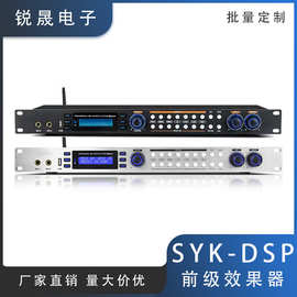 SYK-DSP 专业数字前级效果器混响处理防啸叫反馈抑制功能全自动