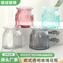 2025爆款欧式玻璃瓶透明玻璃花瓶容器水培植物花盆圆水养小号器皿