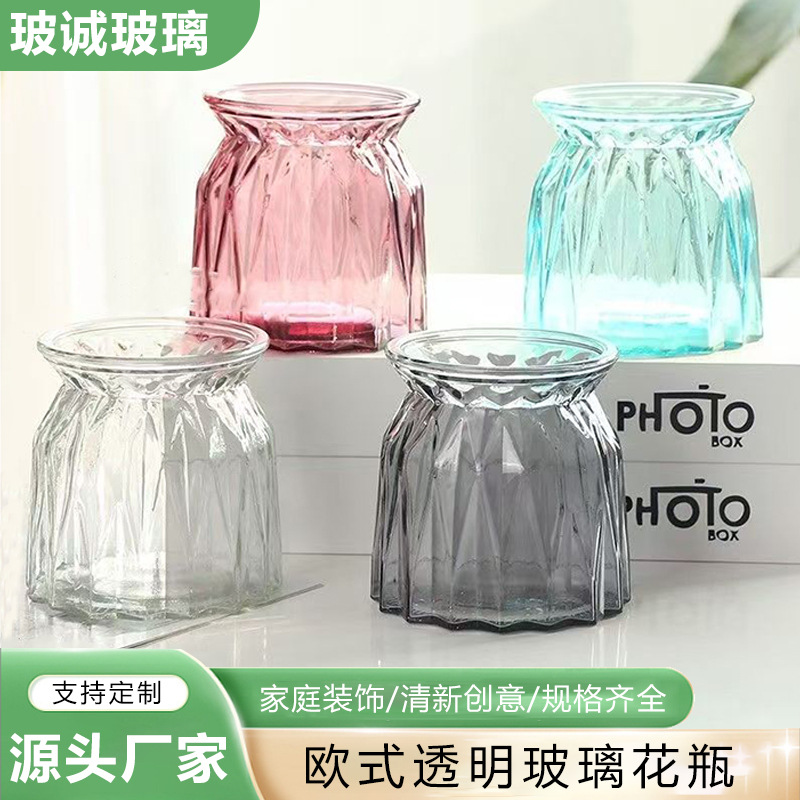 2025爆款欧式玻璃瓶透明玻璃花瓶容器水培植物花盆圆水养小号器皿