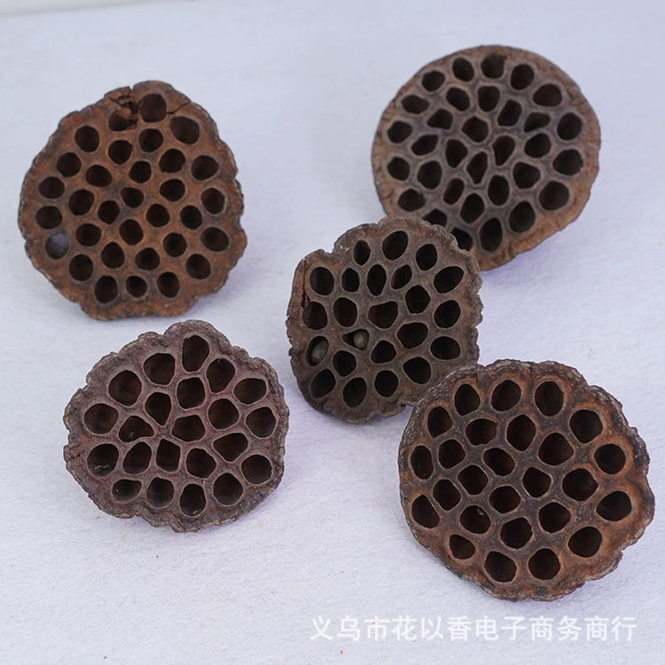 Air-dried lotus pods, both seedless and seeded, decorative ornaments with an ancient Zen aesthetic, home decor items, large dried flowers, DIY materials