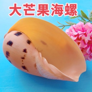 ��Ȼؐ��â�����ݼҾ��~��ˮ���^��Ӱ΢���^�ҾӔ[���