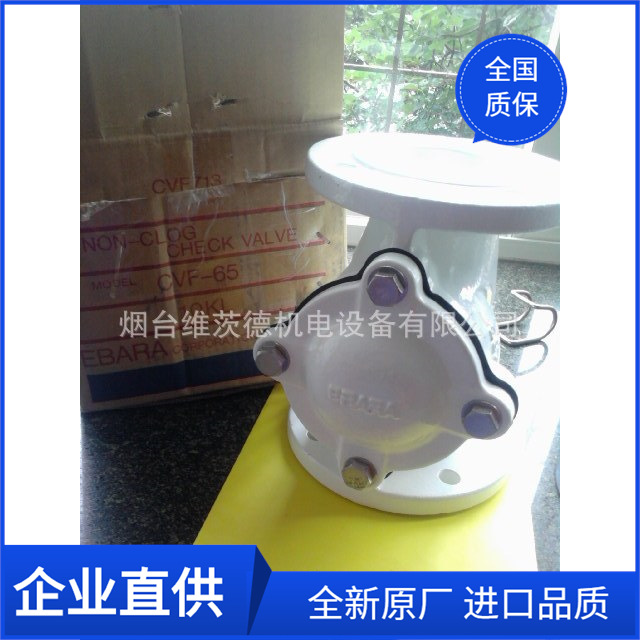 EBARA-CVF-65阀