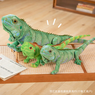 �羳����G�����湫�����Që�q���׃ɫ����ż���ﲼ���޹��S���l