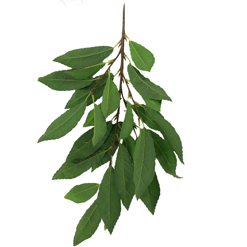 XRB-119 青杠叶四叉枝 (2).jpg