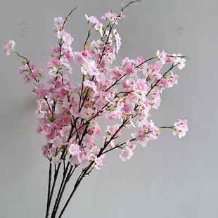 Ʒ�|����ѻ����Ļ��廨�Ҿ��һ�Ӱ���쾰���Ùѻ����b��쾰���l