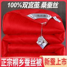 正宗桐乡蚕丝被100桑蚕丝空调子母被二合一春秋加厚婚庆被子