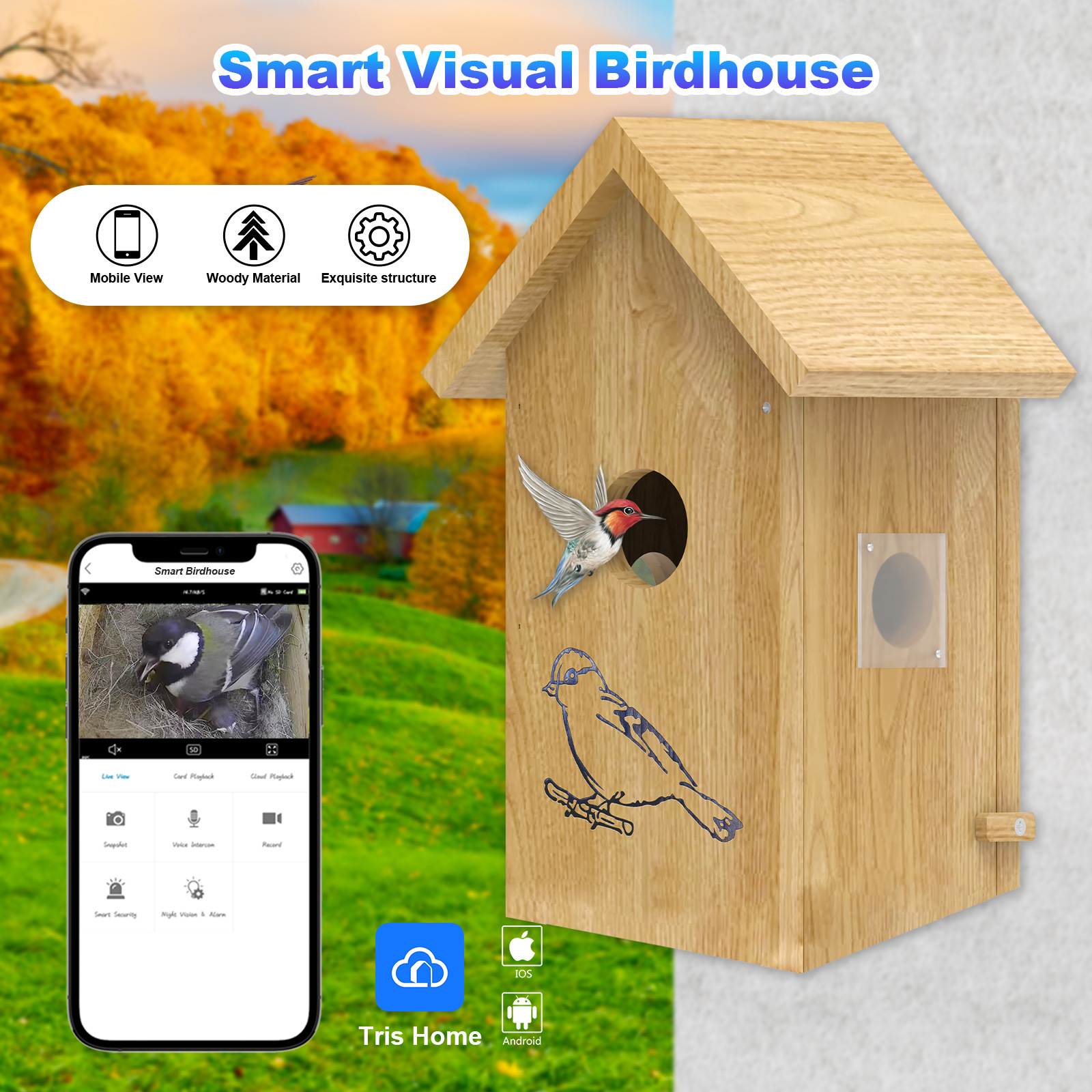 Fábrica de fuente de incubación visual de aves al aire libre nido de pájaros AI inteligente HD cámara wifi explosión transfronteriza