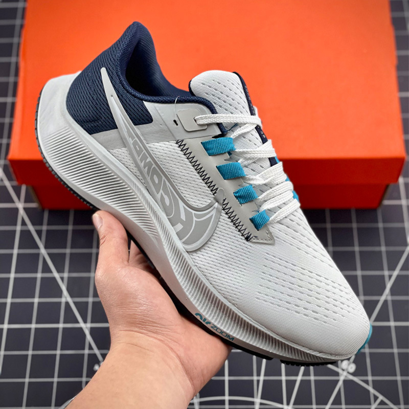 페가수스 38세대 화이트와 블루