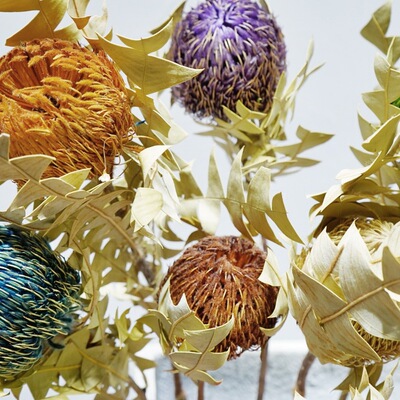 Ganhua Bird's Bird's Gont Gnesmer Flower Eternal Life Цветок