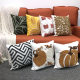 Embroidered Pumpkin Pillow Geometric Pillow Case Towel Embroidered Simple Sofa Bedside Pillow Office Cushion Customized