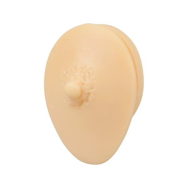 Breast model (light skin tone)