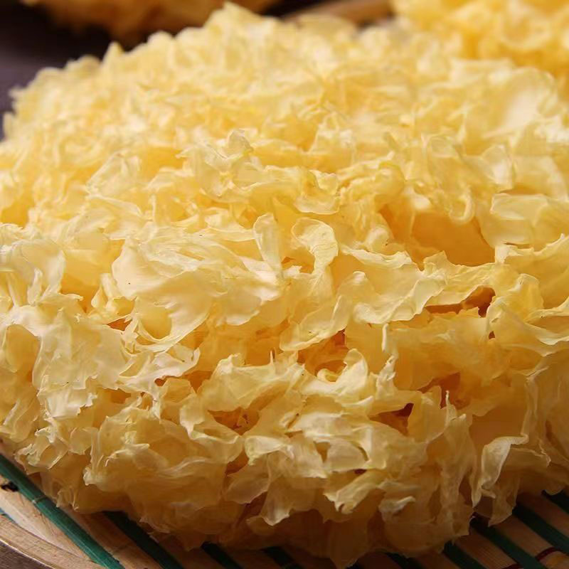 3d50328e1fb6c99d14a80e742d44fd