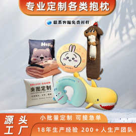 卡通异形抱枕定制logo印图片动物形状创意表情靠垫加工订做批发厂