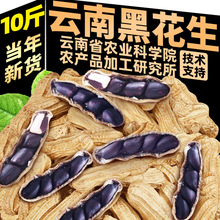 10������خa�ڻ���2025��؛�����������ں�Ƥ�����������������l