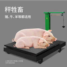 �Cе����2����ʽ��2000kg�����ڰ��������iţ��ذ��Q�����Ȱ���