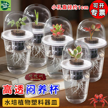 ˮNӻ͸ANӶtֲ@Nֲ߲