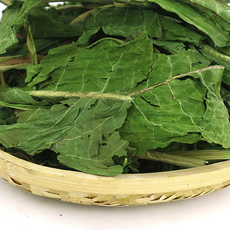 现货菊苣牧草兔子干草龙猫荷兰猪豚鼠粮草批发宠物兔喂食小宠
