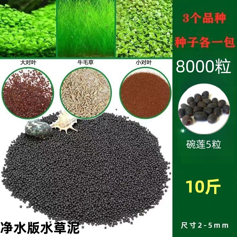 [핫세일] 워터그라스머드 5kg - 크고 작은 잎 쌍 + 소털 8000개 + 그릇연꽃 5개