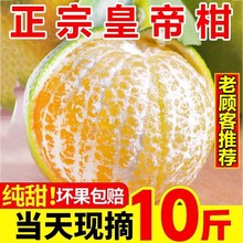 �����l�����ڏV���ʵ۸����rˮ�����Ӯ�������ɰ�ǽ���ؕ�̴����