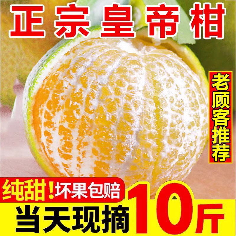 【批发】正宗广西皇帝柑新鲜水果橘子当季整箱砂糖桔子贡柑大果沃