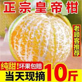 【批发】正宗广西皇帝柑新鲜水果橘子当季整箱砂糖桔子贡柑大果沃