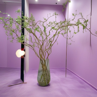 �����r֦ˮ�B����ˮ��ֲ��ˮ���B�Ļ�����׳ɻ�߶˿͔[�ļ��Gֲ