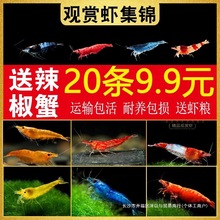 �r�r���^�p�r��ˮ�ښ��r�ѻ��r�O���r�{��ʯС�ͳ����r������ˮ�r