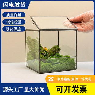 ���w�����Ϸ��w���B���ָ�̦�\΢���^�쾰������[���Gֲ�Nֲ����