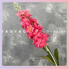 ?õ�tɫϵ���� õ�tɫ��Y�üٻ�·��������S�����l��