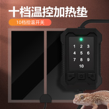 ������B�����ָ���B�������،m�}�󱣜��^��10�n�ؿؐa�ؼӟ�|