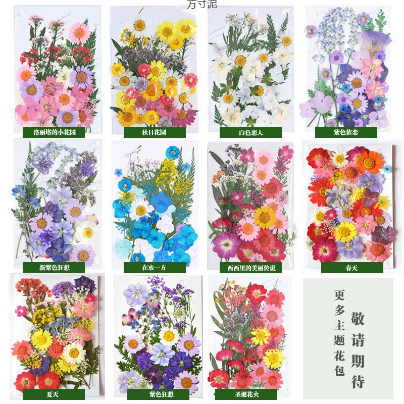 Сушеные цветочные кусочки, держите цветы, наклейка, макияж, закладка, образец растения, материал для тиснения, настоящий цветок капает, сухие листья оптом