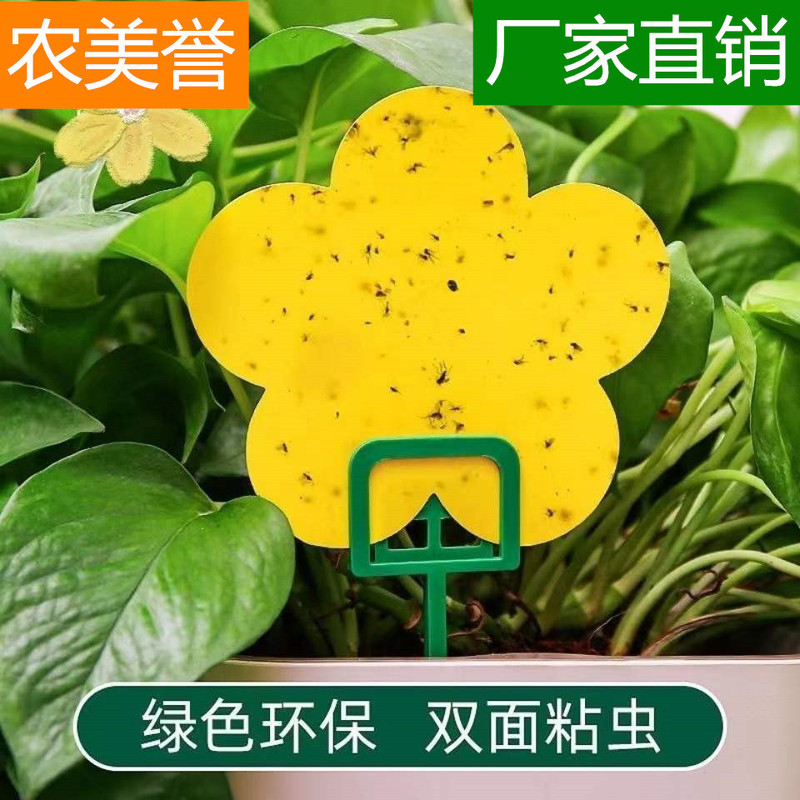 Household Double-sided Yellow Board Sticky Insect Board Balcony Vegetable Planting Green Plant Small Black Flying Drosophila Trap