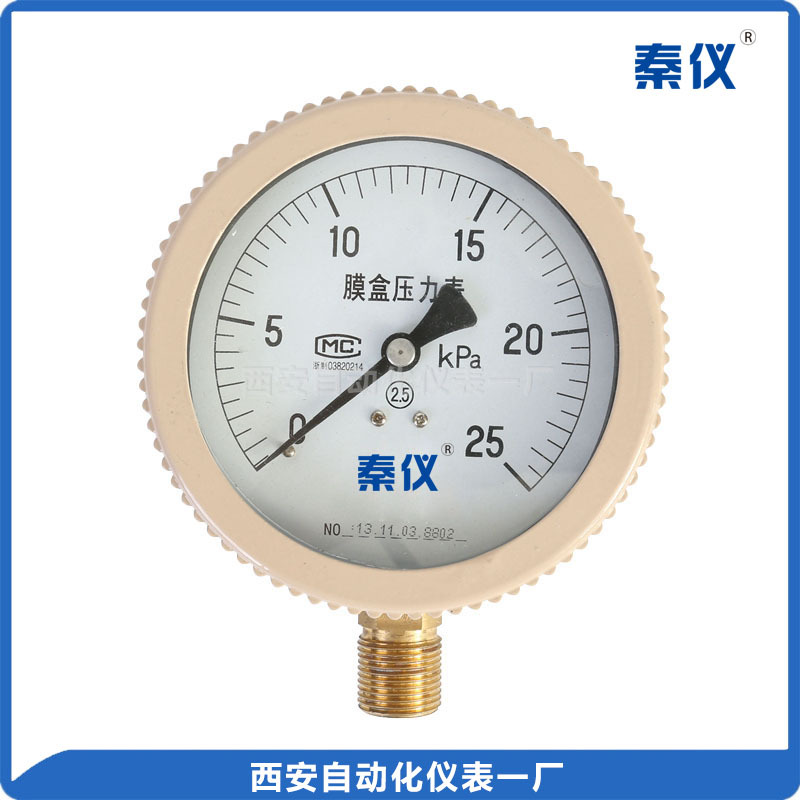 秦仪 西安自动化仪表一厂 膜盒压力表 YE-100