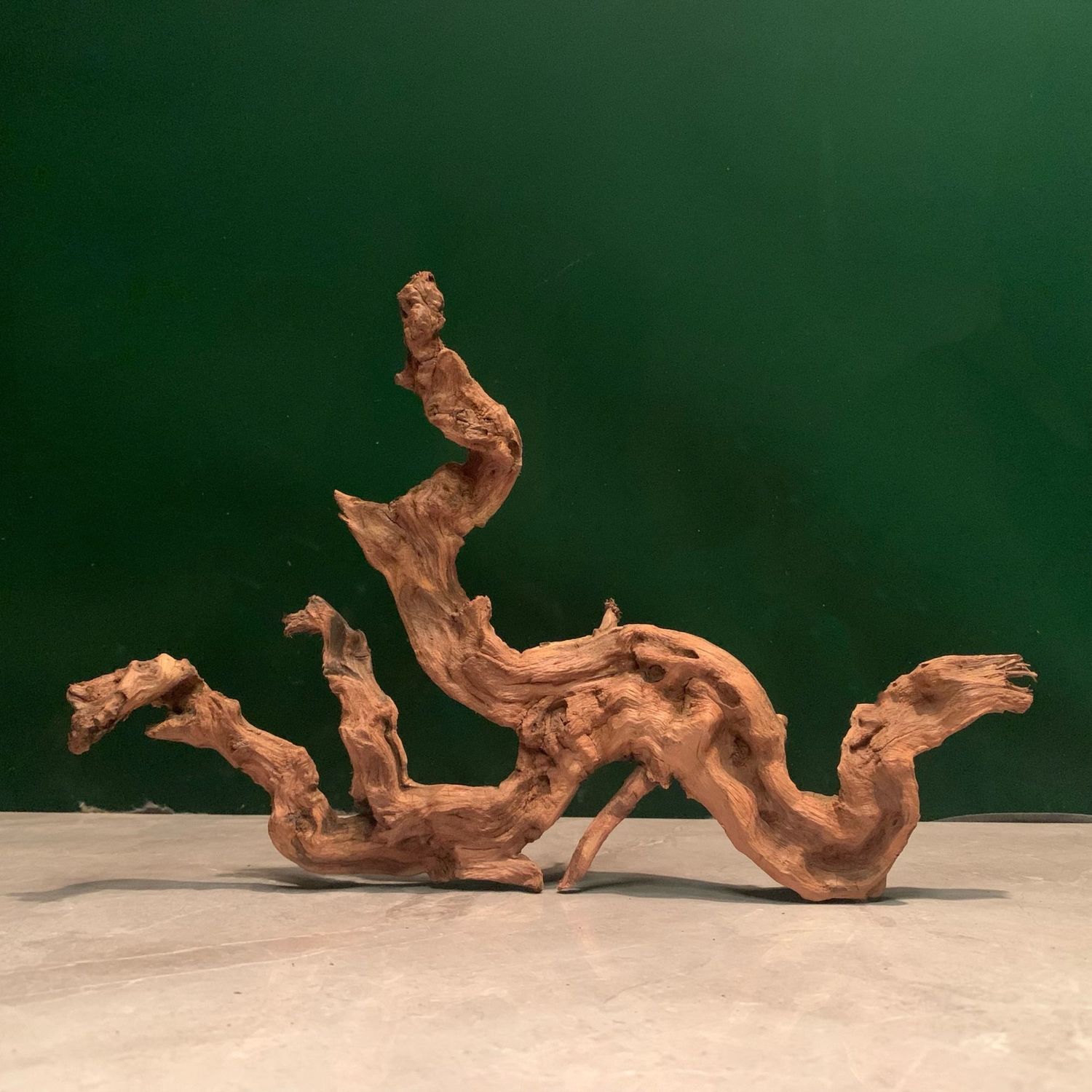 天然金丝红木枯木根雕鱼缸沉木禅意文玩成品桌面笔挂非崖柏摆件