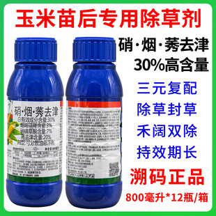 ϲ�ܼZ�@30%����ݬȥ�����ǲ�ͪ������������ó��݄�800����
