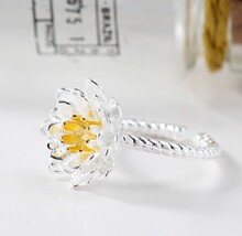 �Ї��L�͹���ˇ�yɫ�ɻ��朵���Ů�_�ڽ�ָ���|���s���������b