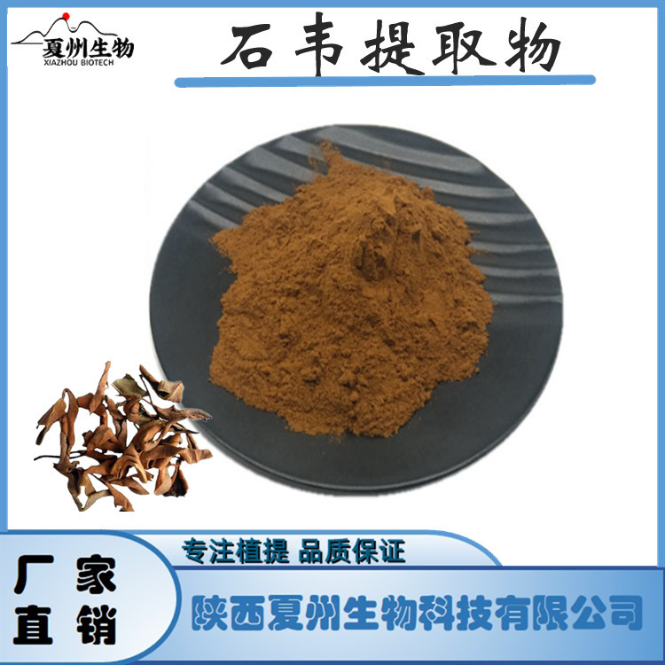 石韦提取物10/20/30:1 Herba pyrrosiae extract 夏州生物 kg装