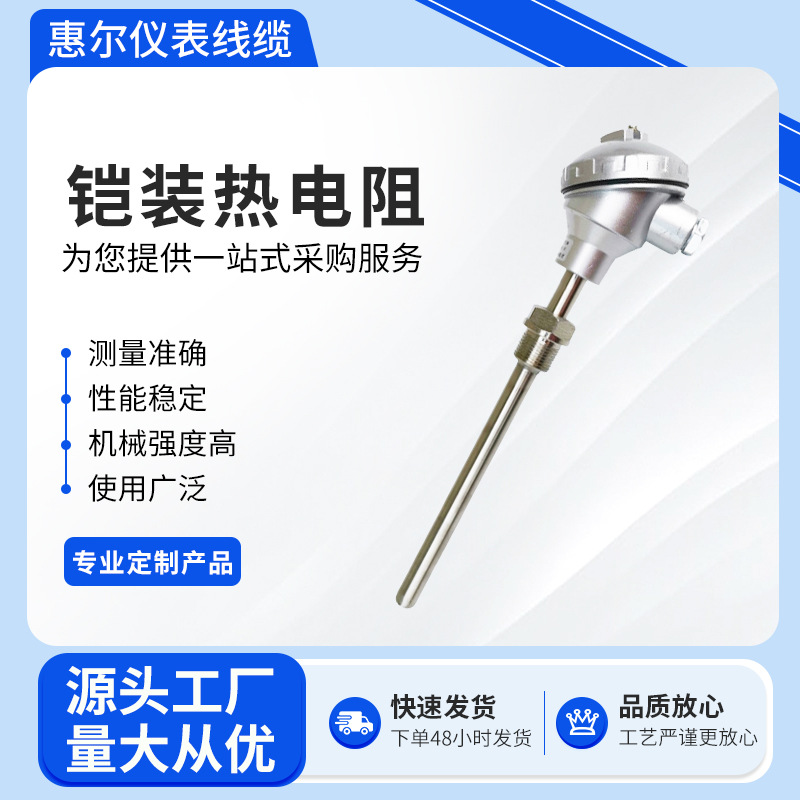 厂家直供铠装铂热电阻感温元件 铠装热电阻WZPK pt100 不锈钢套管
