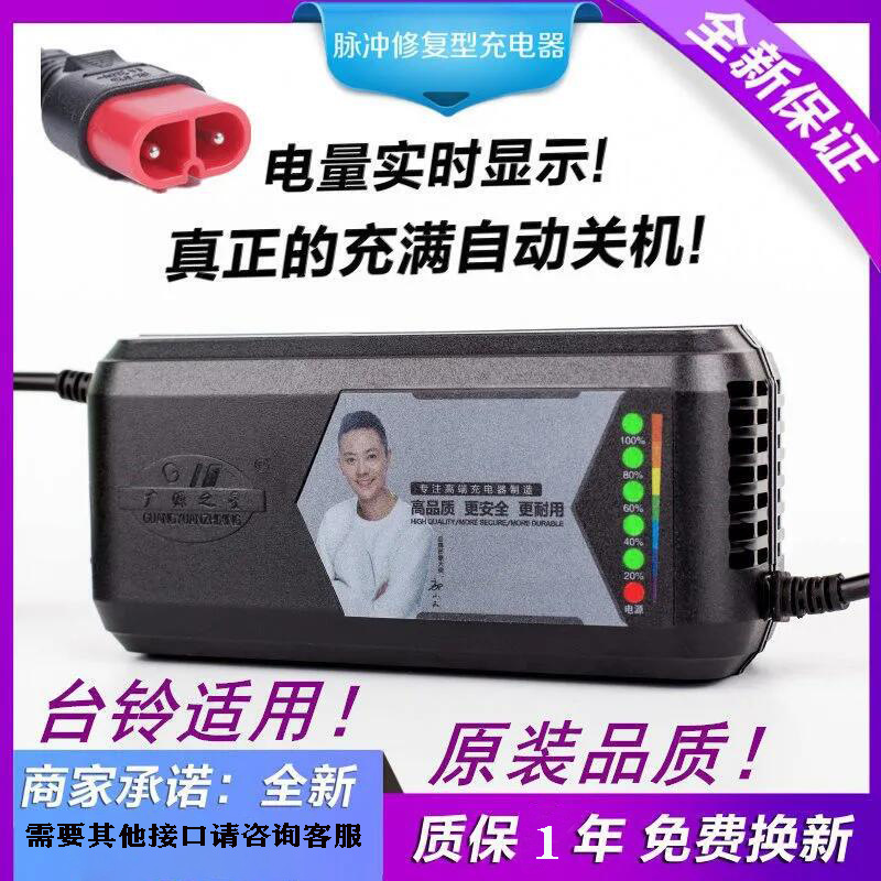 厂家批发台铃三轮车电动车充电器云插口特殊型号接口脉冲充电器
