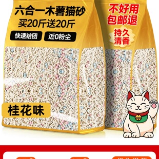 ��6��1ľ��؈ɰ����ȥ��ζ���l20������؈