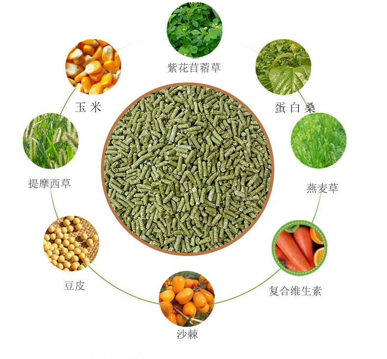 c6480b8c-95b1-490c-82aa-68f17a3d1971.jpe