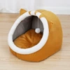 Абрикосовый (кот)