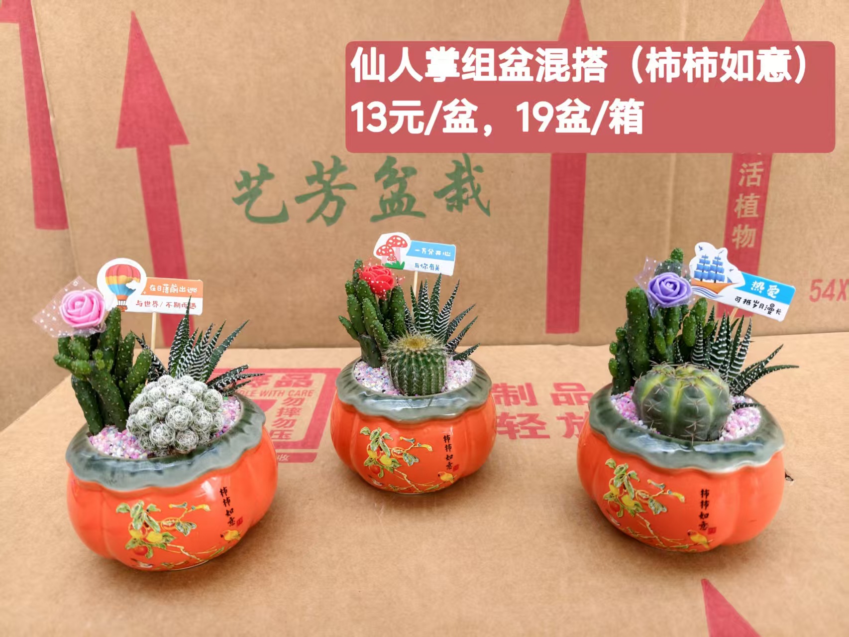 Cactus combinación de vidrio cerámico base de guangzhou venta directa factura boleto especial soporte de cotización de tres partes fábrica directa